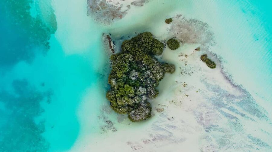 Bacalar Lagoon Sailing Tour with Open Bar and Mexican Lunch - Is $78 good value?