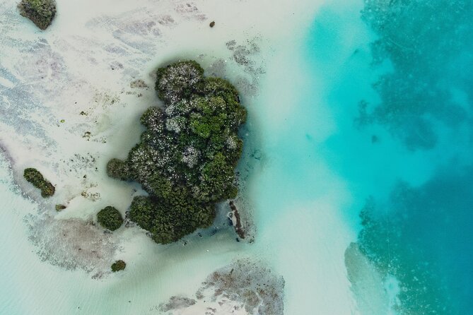 Bacalar Lagoon Sightseeing Boat Tour with Open Bar and Snacks - Starting at Pirates Channel