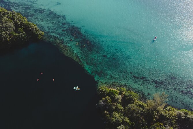 Bacalar Lagoon Sightseeing Boat Tour with Open Bar and Snacks - Bird Island and the afternoon sunset option