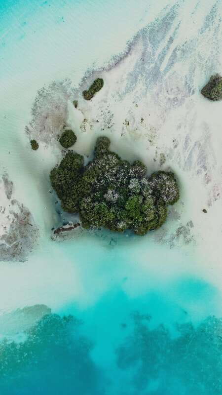 Bacalar Lagoon Sightseeing Boat Tour with Open Bar & Snack - Cenote Esmeralda completes the three-cenote circuit