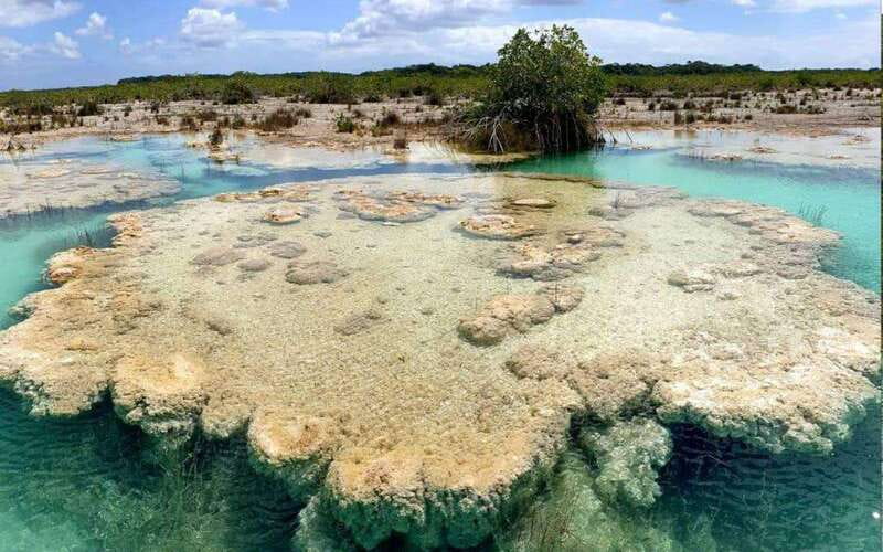 Bacalar: Magnificent Bacalar Lagoon Exclusive Boat Tour - The three cenotes: Black, Emerald, and Cocalitos
