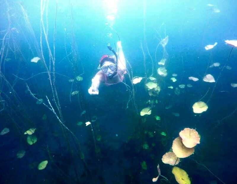 Bacalar: Magnificent Bacalar Lagoon Exclusive Boat Tour - The Lol Ha River and the secret river