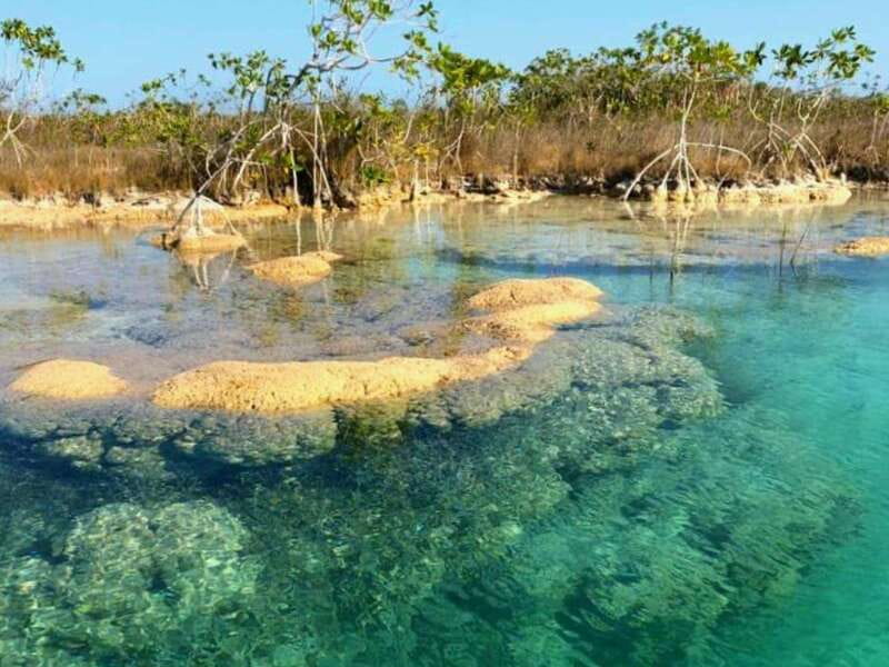Bacalar: Magnificent Bacalar Lagoon Exclusive Boat Tour - Swimming and snorkeling in clear water