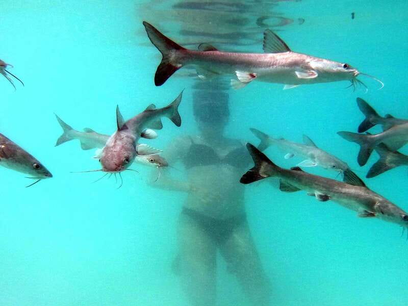 Bacalar: Magnificent Bacalar Lagoon Exclusive Boat Tour - The guides make the difference