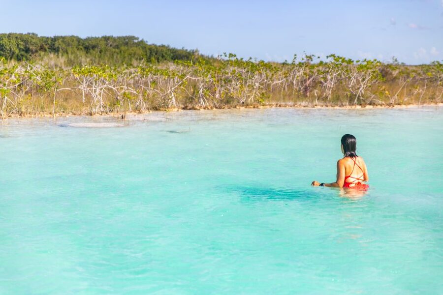 Bacalar: Private Sailboat Tour with Lagoon Swimming - Isla de los Pájaros and wildlife viewing