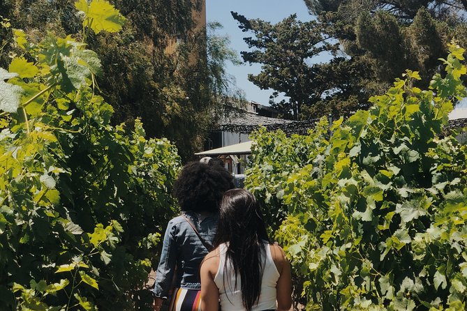 Baja Tour Guide wine tour - Why the custom planning matters