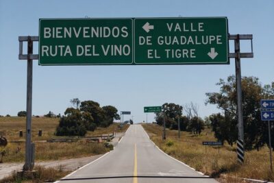 Baja Tour Guide wine tour