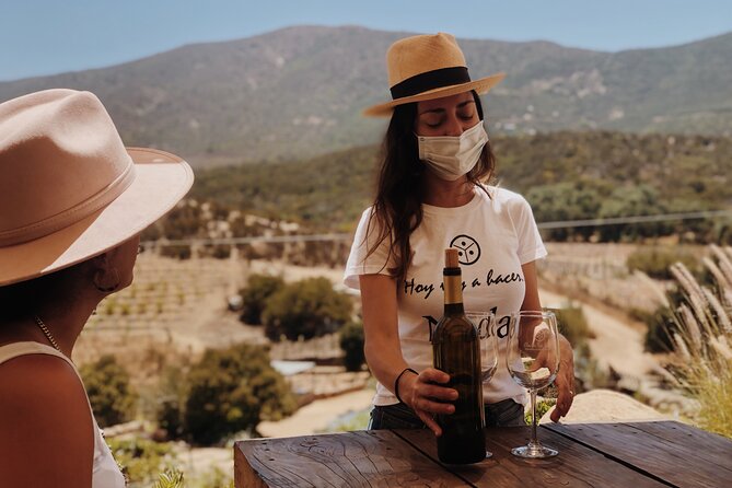 Baja Tour Guide wine tour - A closer look at the winery visits