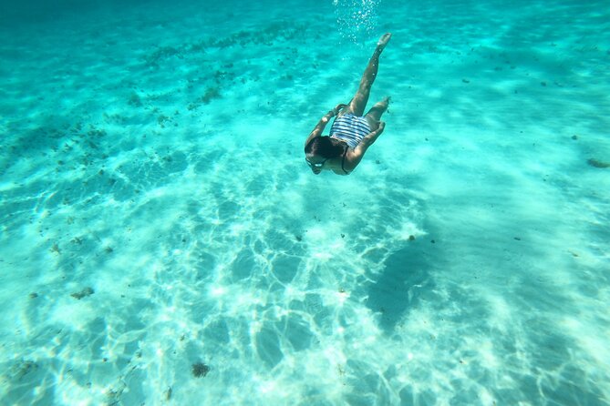 Bavarian Fiesta Snorkel Activity in Glass Bottom Boat at San Miguel de Cozumel - Price and what the $117.09 buys you