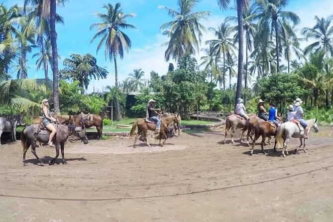 Beach Activities and All Inclusive Tour - Key points before you book