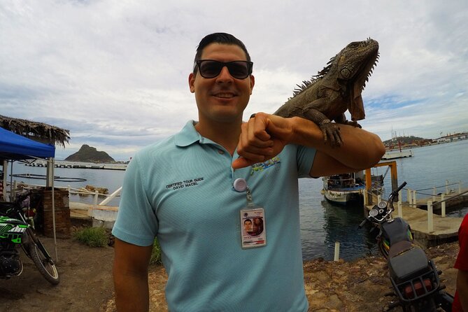 Beach Activities and All Inclusive Tour - What families, couples, and cruise passengers should know