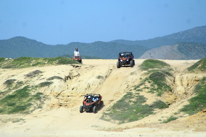 Beach and Desert Premium X3 UTV Tour in Cabo - Price, park fees, and protection costs