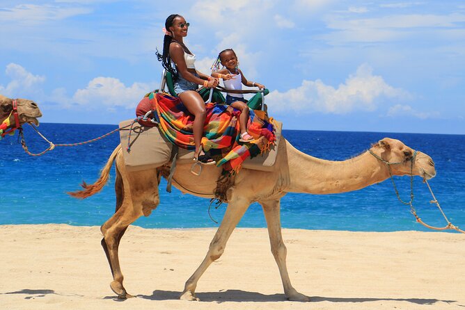 Beach, ATV, and Camel Ride Combo Tour - From Cabo Hotels to Cactus Tours
