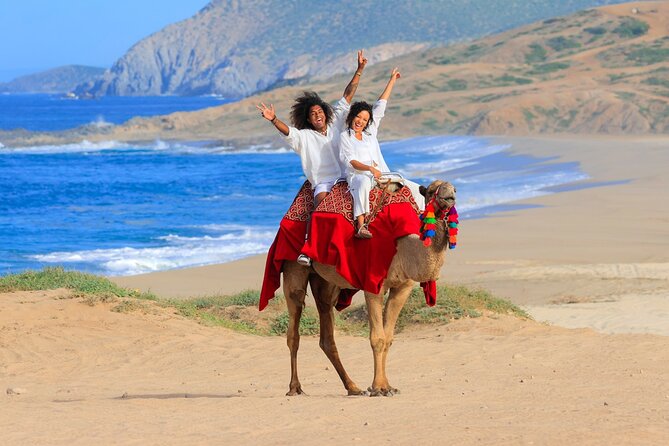 Beach, ATV, and Camel Ride Combo Tour - Should You Book the Beach, ATV, and Camel Ride Combo?