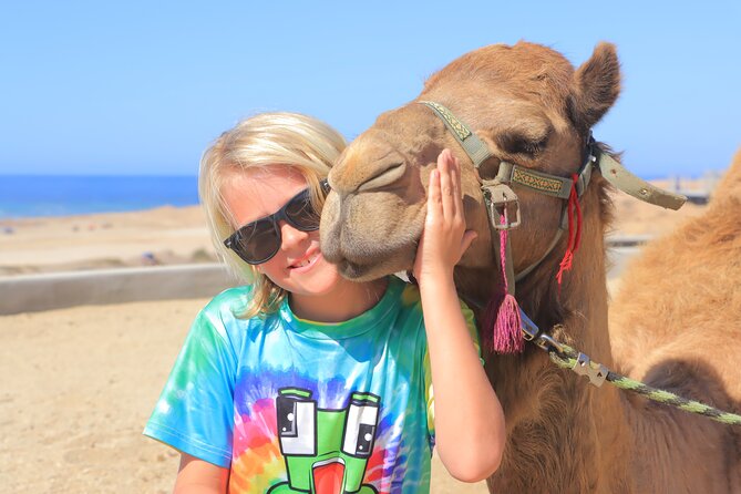 Beach Camel Ride and Encounter in Cabo - Five Things to Know Before You Book