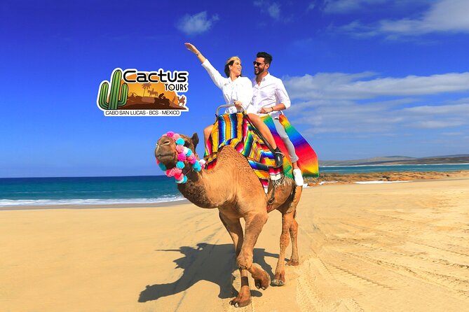 Beach Camel Ride and Encounter in Cabo - The Ride Begins at Cactus Tours