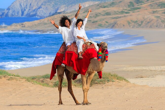 Beach Camel Ride and Encounter in Cabo - Guides Who Shape the Experience