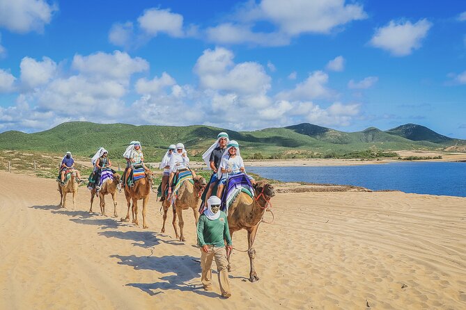 Beach Camel Ride and Encounter in Cabo - Food, Drinks, and Tequila Afterward