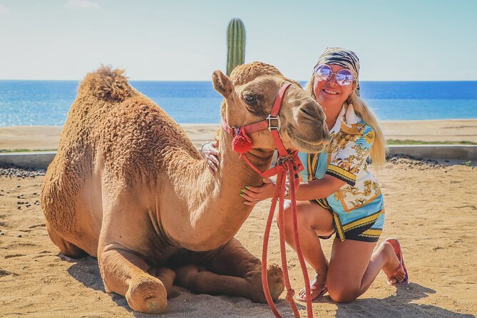 Beach Camel Ride and Encounter in Cabo - The Real Price: $71.25 Plus the Park Fee