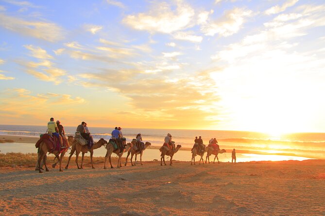 Beach Camel Ride and Encounter in Cabo - Who Will Enjoy This Cabo Excursion?