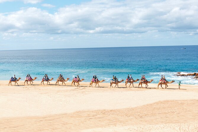Beach Camel Ride and Encounter in Cabo - What the 30-Minute Beach Ride Feels Like