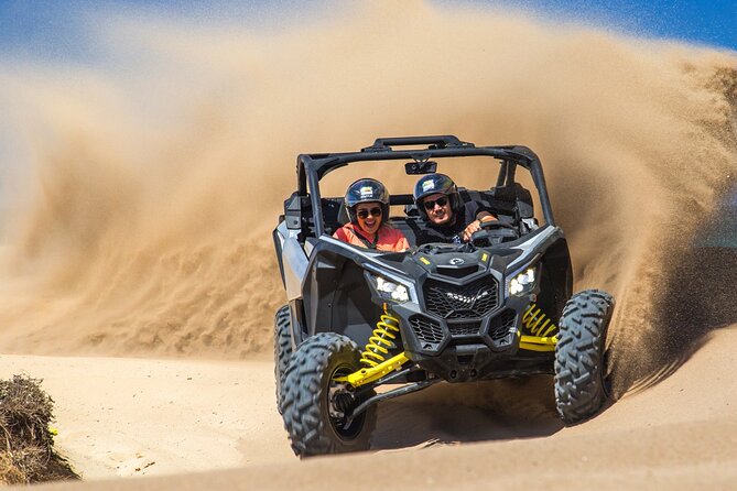 Beach Camel Ride and Sky Bike in Cabo - What this Cabo outing is really like