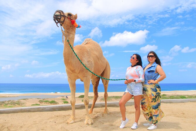 Beach CAN-AM SXS X3 and Camel Ride in Cabo - Tequila tasting and the extras that affect value