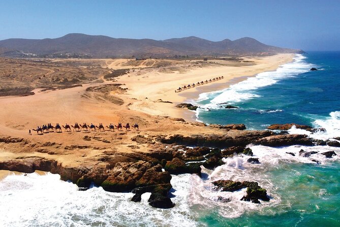 Beach CAN-AM SXS X3 and Camel Ride in Cabo - Practical planning for your three hours