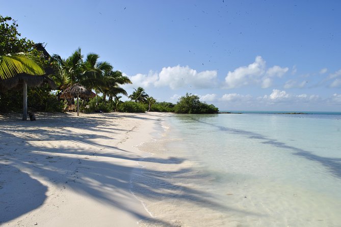 Beach Escape: Isla Contoy and Isla Mujeres with Snorkeling. - The reef snorkel: enjoyable, but not the main event