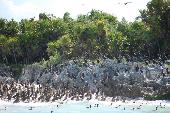 Beach Escape: Isla Contoy and Isla Mujeres with Snorkeling. - Isla Mujeres in one busy hour