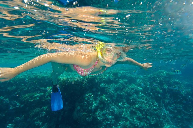 Beach Hopper Small-Group Snorkeling Tour in Los Cabos - Why this Cabo snorkeling trip works so well