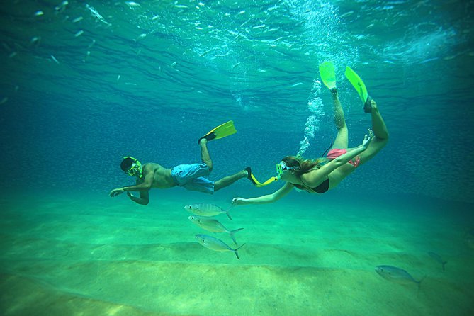 Beach Hopper Small-Group Snorkeling Tour in Los Cabos - Chileno Bay: a strong first test in the water
