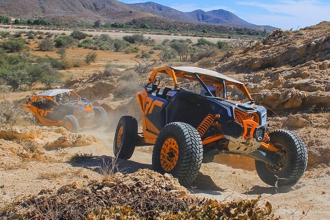 Beach UTV and Camel Ride Combo in Cabo - From Cabo hotels to the Cactus Tours base