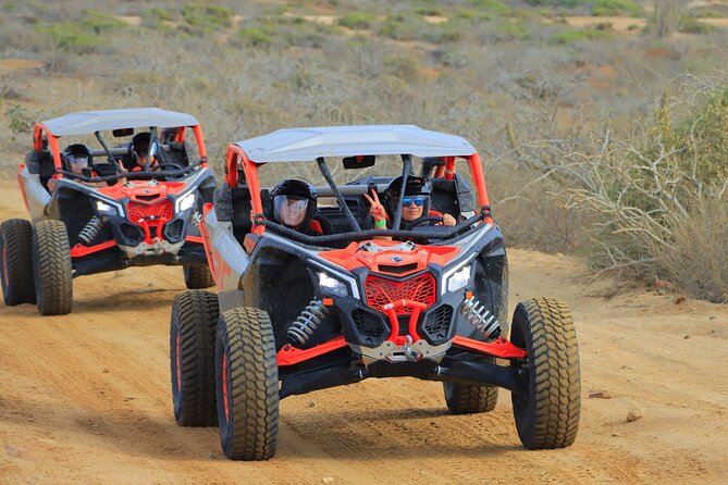 Beach UTV and Camel Ride Combo in Cabo - Tequila tasting and the food question