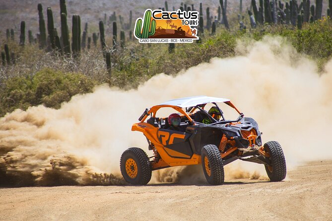 Beach UTV and Camel Ride Combo in Cabo - Shared tour or private upgrade?
