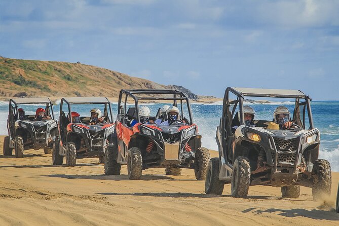 Beach UTV and Sky Bike Combo in Cabo - Sky Bikes and the ecological hike