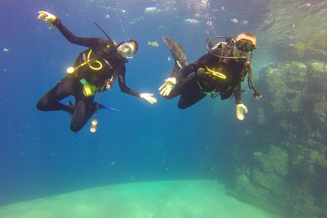 Beginner Scuba Diving in Cabo San Lucas - A gentle introduction to Cabo scuba
