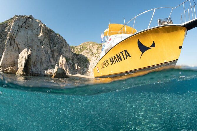 Beginner Scuba Diving in Cabo San Lucas - Why the small group matters