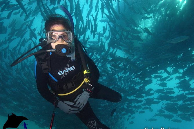 Beginner Scuba Diving in Cabo San Lucas - Price, equipment, and what you actually receive