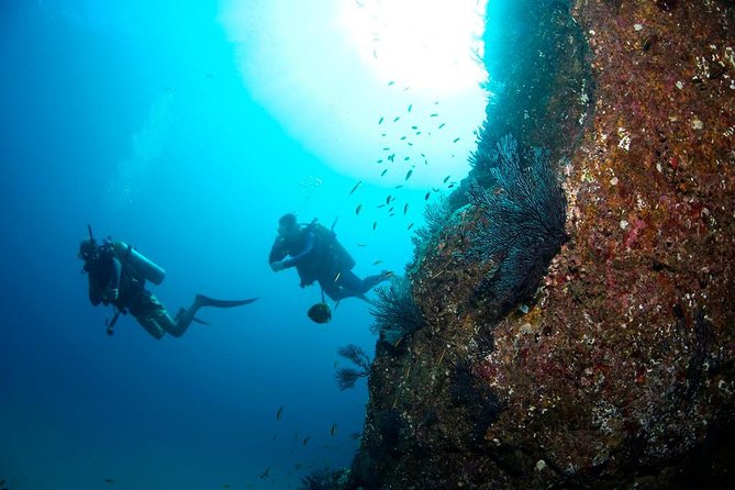Beginner Scuba Diving in Cabo San Lucas - What the four-hour schedule feels like