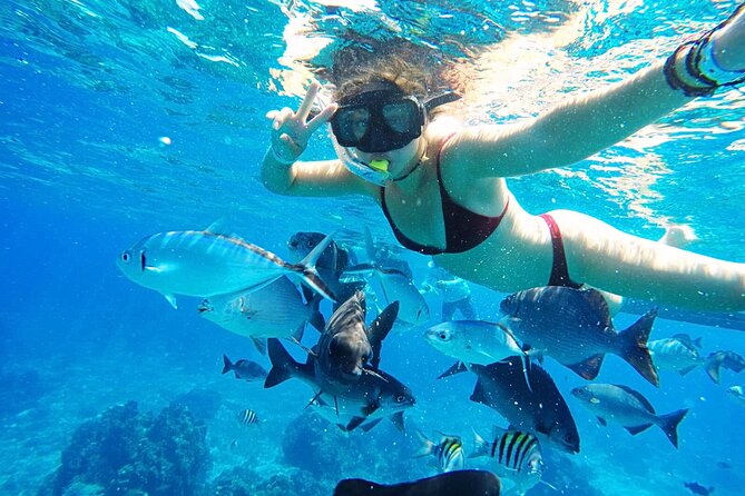 Best Cozumel Day Pass San Francisco Beach Club - Food, drinks, and service at the club