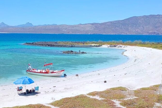 Best Tour to Coronados Island - Six things to know before you go