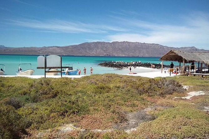 Best Tour to Coronados Island - Two hours of beach time on Coronado Island