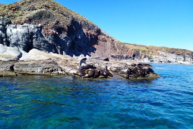 Best Tour to Coronados Island - What the small-group boat is really like