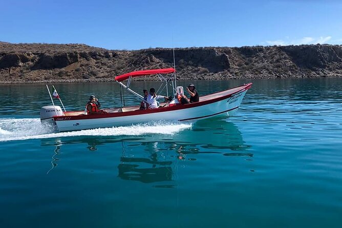 Best Tour to Coronados Island - Watching for dolphins, turtles, rays, and whales