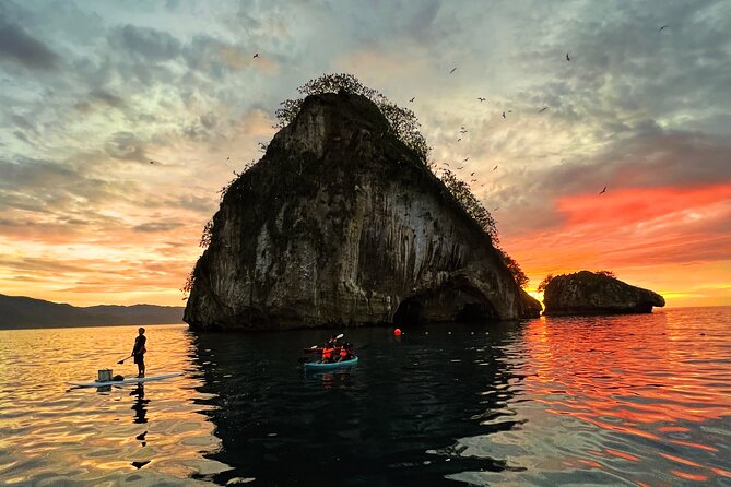 Bioluminescence by kayak or SUP to Los Arcos Puerto Vallarta - Choosing a kayak, SUP, or family board