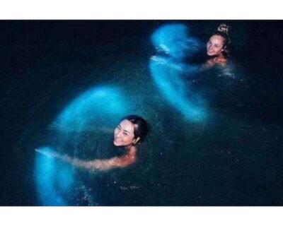 BIOLUMINESCENCE IN PUERTO ESCONDIDO