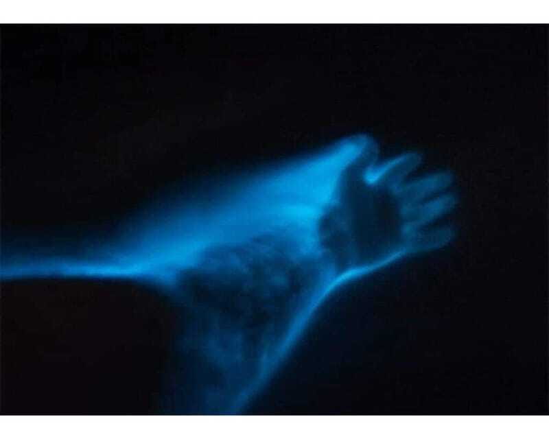 BIOLUMINESCENCE IN PUERTO ESCONDIDO - Who will enjoy this nighttime outing