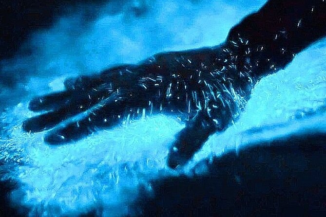 Bioluminescence & sunset local boat tour to Los Arcos Sanctuary - Key points at a glance