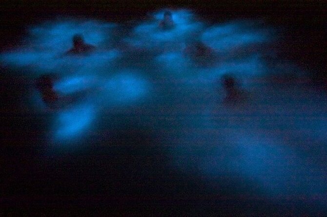 Bioluminescence & sunset local boat tour to Los Arcos Sanctuary - Seasickness, safety, and comfort
